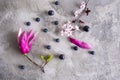 Urban spring concept - blooming magnolia and plum cherry flowers.