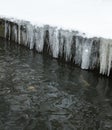 Urban stream in winter. Icicles on the riverbanks Royalty Free Stock Photo