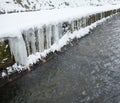 Urban stream in winter. Icicles on the riverbanks Royalty Free Stock Photo