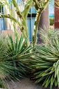 Urban streetscapes and buildings in downtown Phoenix, AZ