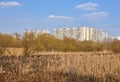 Urban swamp, view of sleeping area from the park Royalty Free Stock Photo