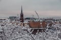 Urban view behind the trees of Riddarholmen and the old church at winter, Stockholm Sweden Royalty Free Stock Photo