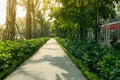 Urban walking road among green tree in modern apartment buildings in big city Royalty Free Stock Photo