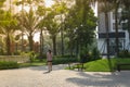 Urban walking road among green tree in modern apartment buildings in big city