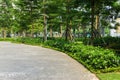 Urban walking road among green tree in modern apartment buildings in big city Royalty Free Stock Photo