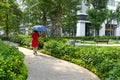 Urban walking road among green tree in modern apartment buildings in big city Royalty Free Stock Photo