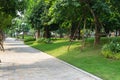 Urban walking road among green tree in modern apartment buildings in big city Royalty Free Stock Photo