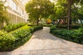 Urban walking road among green tree in modern apartment buildings in big city Royalty Free Stock Photo