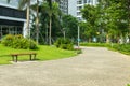 Urban walking road among green tree in modern apartment buildings in big city Royalty Free Stock Photo