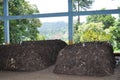 Urban waste materials for organic fertilizer production Royalty Free Stock Photo