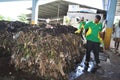 Urban waste materials for organic fertilizer production Royalty Free Stock Photo