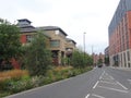 Urban Wild Flower Meadow Sheffield City Centre