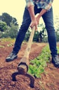 Urbanite man digging in a garden