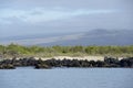 Urbina Bay, Isabela Island, Galapagos Islands