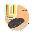 Urchin Childrens Alphabet Vector Illustration