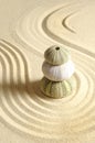 Urchin in sand Royalty Free Stock Photo