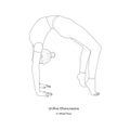 Urdhva Dhanurasana or Wheel Pose. Vector