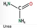 Urea, carbamide molecule. It is a nitrogenous compound containing a carbonyl group, is used as fertilizer, in cosmetics. Skeletal