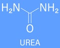 Urea or carbamide molecule. Used in cosmetics, fertilizer, present in urine. Skeletal formula.