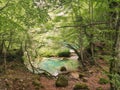 Urederra Natural park in navarra Royalty Free Stock Photo