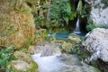 Urederra river, Navarre (Spain)