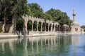 Urfa panorama Holy Lake with sacred fish in Golbasi Park