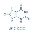 Uric acid molecule. High blood levels lead to gout disease. Skeletal formula.