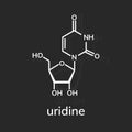 Uridine chemical formula Royalty Free Stock Photo