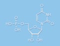Uridine monophosphate UMP, uridylic acid nucleotide molecule. Building block of RNA. Royalty Free Stock Photo