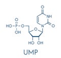 Uridine monophosphate UMP, uridylic acid nucleotide molecule. Building block of RNA. Skeletal formula. Royalty Free Stock Photo