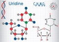 Uridine - pyrimidine nucleoside molecule, is important part Royalty Free Stock Photo