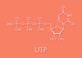 Uridine triphosphate UTP nucleotide molecule. Building block of RNA. Skeletal formula.