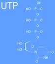 Uridine triphosphate or UTP nucleotide molecule. Building block of RNA. Skeletal formula.