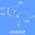 Uridine, Urd, U nucleoside molecule. Building block of RNA. Skeletal formula. Chemical structure