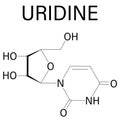 Uridine, Urd, U nucleoside molecule. Building block of RNA. Skeletal formula. Chemical structure