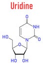 Uridine, Urd, U nucleoside molecule. Building block of RNA. Skeletal formula. Chemical structure