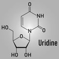 Uridine, Urd, U nucleoside molecule. Building block of RNA. Skeletal formula. Chemical structure