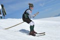 Rustic barrel stave race on the Krippenstein Dachstein, Obertraun, Salzkammergut, Gmunden district, Upper Austria, Austria