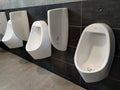 Urinal bowls are installed in men`s public toilets.