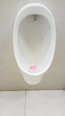 Urinal at men public toilet. Royalty Free Stock Photo