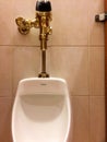 Urinal in mens public restroom bathroom with luxury gold plumbing