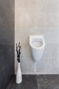 Urinal in modern bathroom Royalty Free Stock Photo