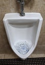 Urinal In Restaurant Public Bathroom