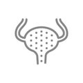 Urinary bladder inflammation line icon. Cystitis, bladder stones symbol