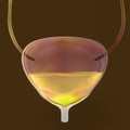 Urinary bladder, medical 3D illustration