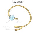 Urinary catheter structure diagram medical science