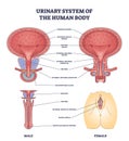 Urinary system of human body and gender structure differences outline diagram Royalty Free Stock Photo