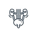 urinary vector icon. urinary editable stroke. urinary linear symbol for use on web and mobile apps, logo, print media. Thin line