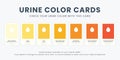 The Urine Color Cards. Isolated Vector Illustration