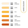 Urine color chart illustration of dehydration level